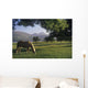 Horse Grazing On A Landscape Wall Mural