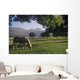Horse Grazing On A Landscape Wall Mural