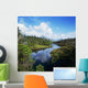 River Passing Through A Forest Wall Mural