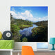 River Passing Through A Forest Wall Mural
