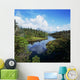 River Passing Through A Forest Wall Mural