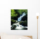 Waterfall In Killarney National Park, Ireland Wall Mural
