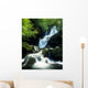 Waterfall In Killarney National Park, Ireland Wall Mural