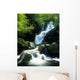 Waterfall In Killarney National Park, Ireland Wall Mural