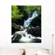 Waterfall In Killarney National Park, Ireland Wall Mural