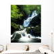 Waterfall In Killarney National Park, Ireland Wall Mural