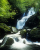 Waterfall In Killarney National Park, Ireland Wall Mural