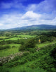 High Angle View Of Fields On A Landscape Wall Mural