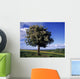 Hawthorn Tree On A Landscape, Ireland Wall Mural
