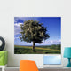 Hawthorn Tree On A Landscape, Ireland Wall Mural