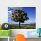 Hawthorn Tree On A Landscape, Ireland Wall Mural
