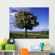 Hawthorn Tree On A Landscape, Ireland Wall Mural