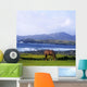 Horse Grazing In A Field Wall Mural