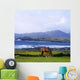 Horse Grazing In A Field Wall Mural