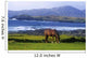 Horse Grazing In A Field Wall Mural