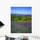 Bluebell Flowers On A Landscape, County Carlow, Republic Of Ireland Wall Mural