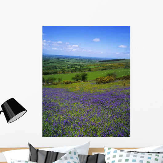Bluebell Flowers On A Landscape, County Carlow, Republic Of Ireland Wall Mural