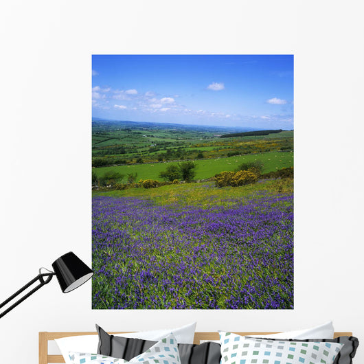Bluebell Flowers On A Landscape, County Carlow, Republic Of Ireland Wall Mural