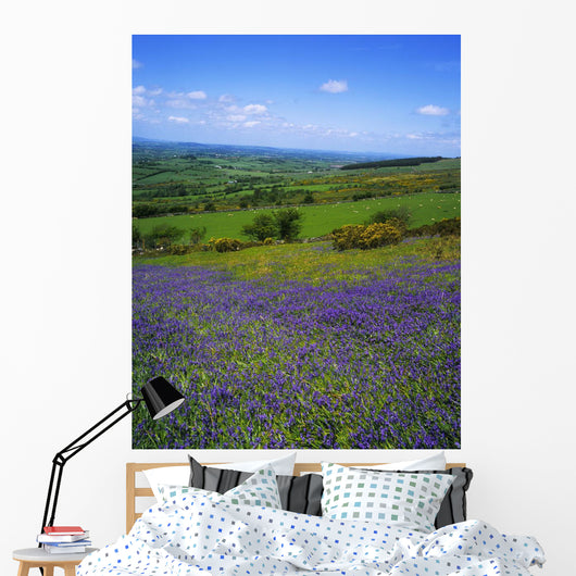 Bluebell Flowers On A Landscape, County Carlow, Republic Of Ireland Wall Mural