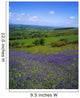 Bluebell Flowers On A Landscape, County Carlow, Republic Of Ireland Wall Mural