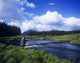 Side Profile Of A Man Fly-Fishing In A River Wall Mural