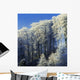 Snow Covered Trees In A Forest, County Antrim, Northern Ireland Wall Mural