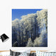 Snow Covered Trees In A Forest, County Antrim, Northern Ireland Wall Mural