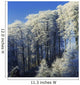 Snow Covered Trees In A Forest, County Antrim, Northern Ireland Wall Mural
