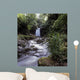 Waterfall In A Forest Wall Mural