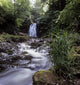 Waterfall In A Forest Wall Mural
