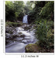 Waterfall In A Forest Wall Mural