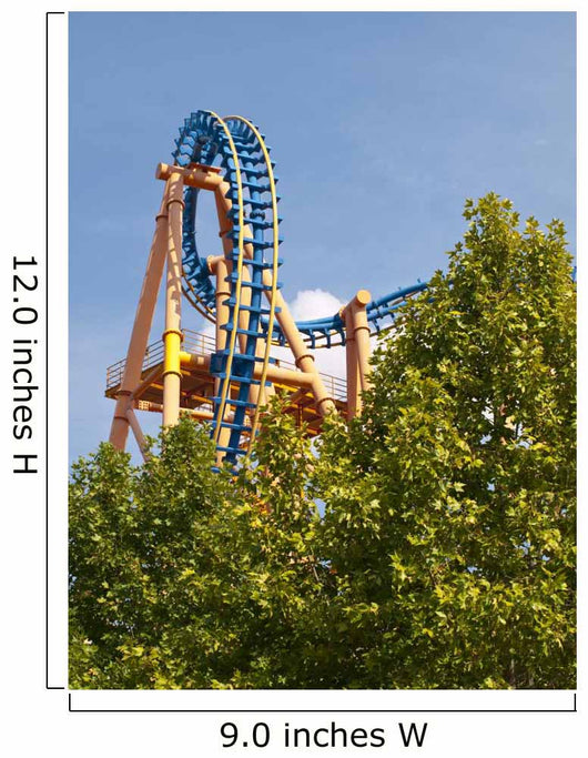 Amusement Park