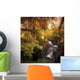 Flowing Water Through A Forest Wall Mural