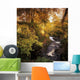 Flowing Water Through A Forest Wall Mural