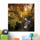Flowing Water Through A Forest Wall Mural