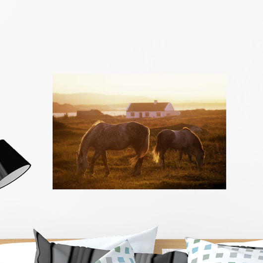 Ponies Grazing In A Field Wall Mural