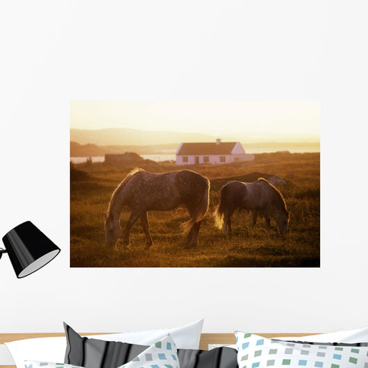 Ponies Grazing In A Field Wall Mural