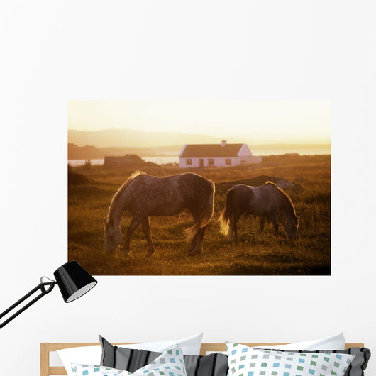 Ponies Grazing In A Field Wall Mural