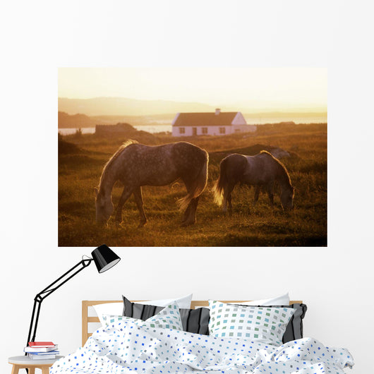 Ponies Grazing In A Field Wall Mural