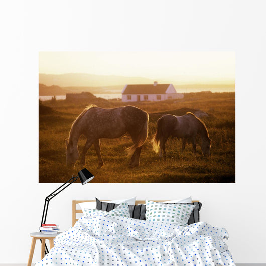 Ponies Grazing In A Field Wall Mural
