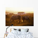 Ponies Grazing In A Field Wall Mural