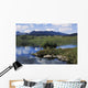 High Angle View Of A Man Fishing In The Lake Wall Mural