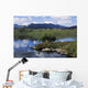 High Angle View Of A Man Fishing In The Lake Wall Mural