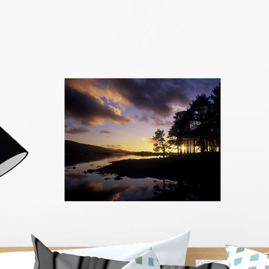 Silhouette Of Trees On The Riverbank Wall Mural