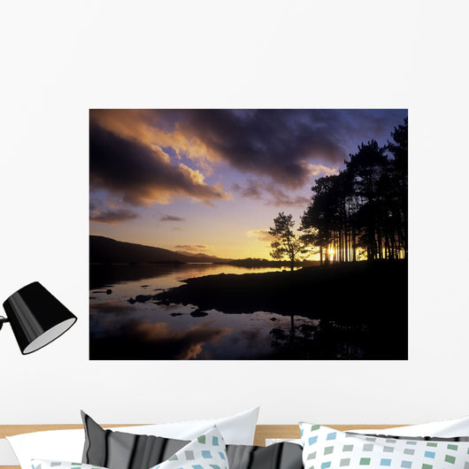 Silhouette Of Trees On The Riverbank Wall Mural