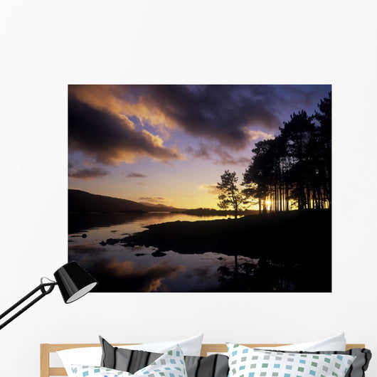 Silhouette Of Trees On The Riverbank Wall Mural