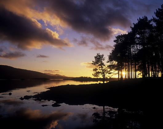 Silhouette Of Trees On The Riverbank Wall Mural