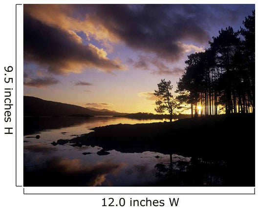 Silhouette Of Trees On The Riverbank Wall Mural