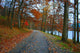 Road Less Traveled