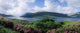 Boat In A River, Killary Harbor, County Galway, Republic Of Ireland Wall Mural